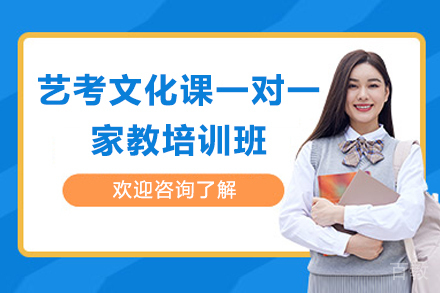 艺考文化课一对一家教培训班