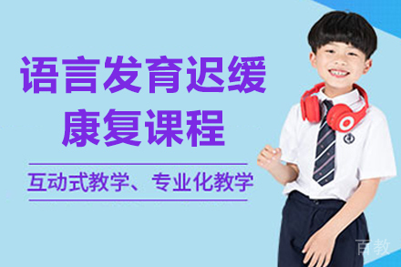 语言发育迟缓康复课程