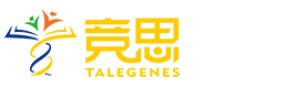 上海竞思教育
