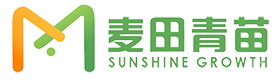 成都麦田青苗