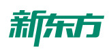 青岛新东方考研