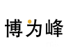 武汉博为峰