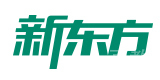 北京新东方雅思