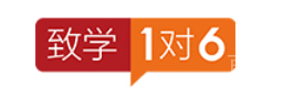 上海致学教育