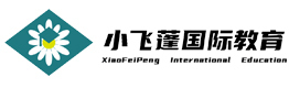 上海小飞蓬国际教育