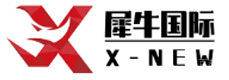 上海犀牛国际教育