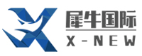 北京犀牛国际DSE课程