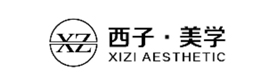 天津西子美学教育