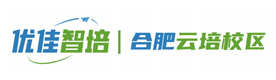 合肥优佳智培