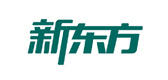 大连新东方保研