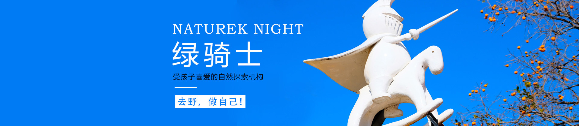 北京绿骑士