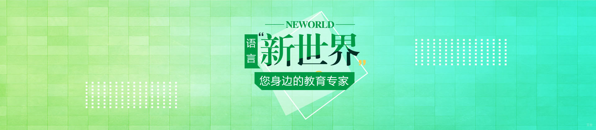广州新世界教育