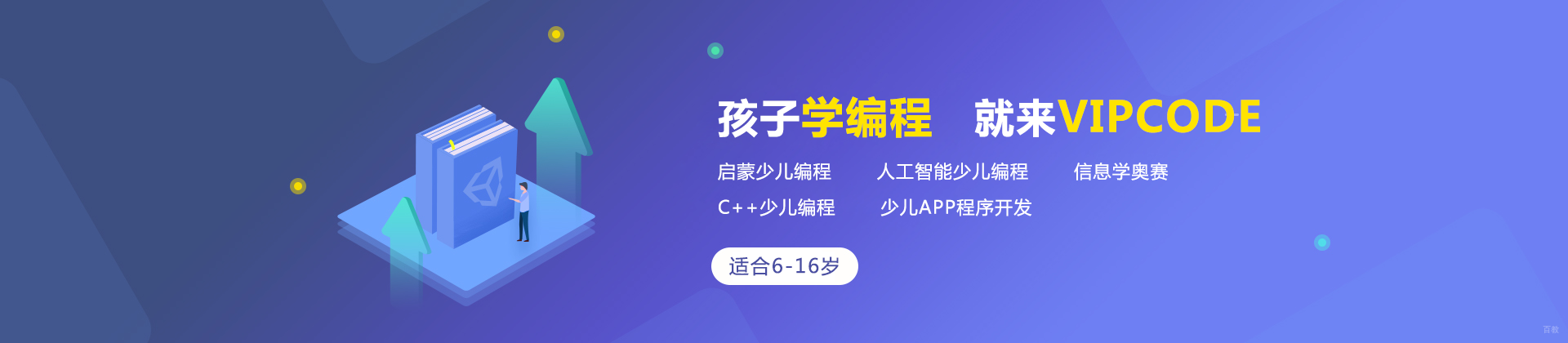 上海vipcode编程