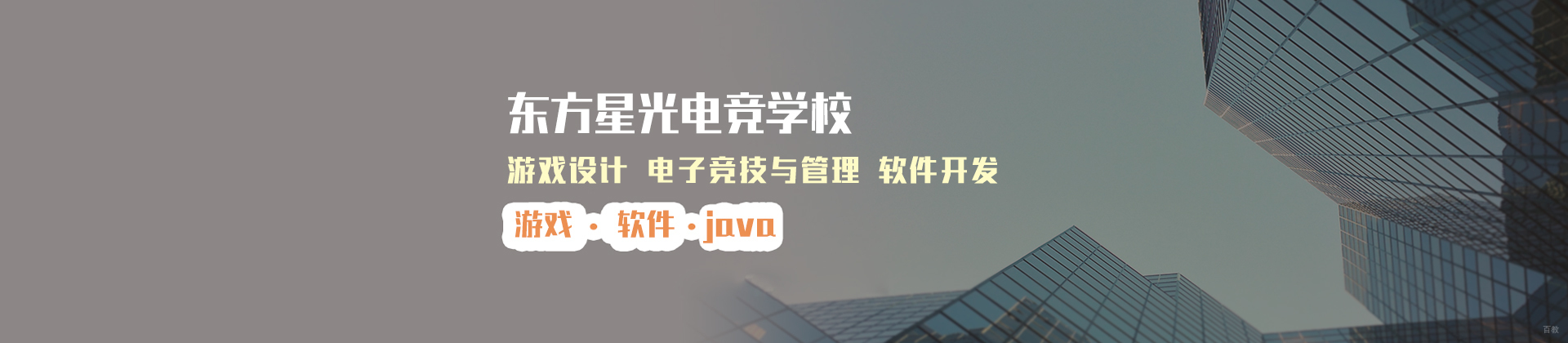 上海东方星光电竞