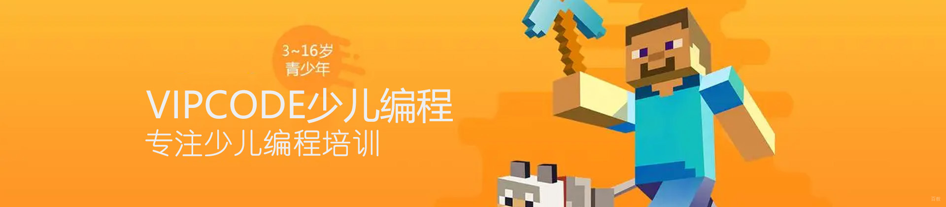 深圳VIPCODE少儿编程