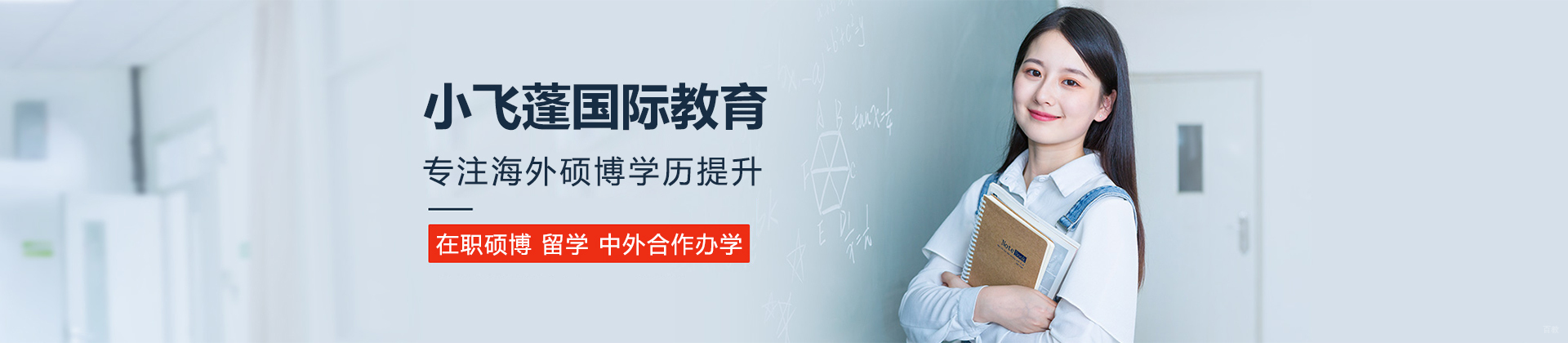 上海小飞蓬国际教育
