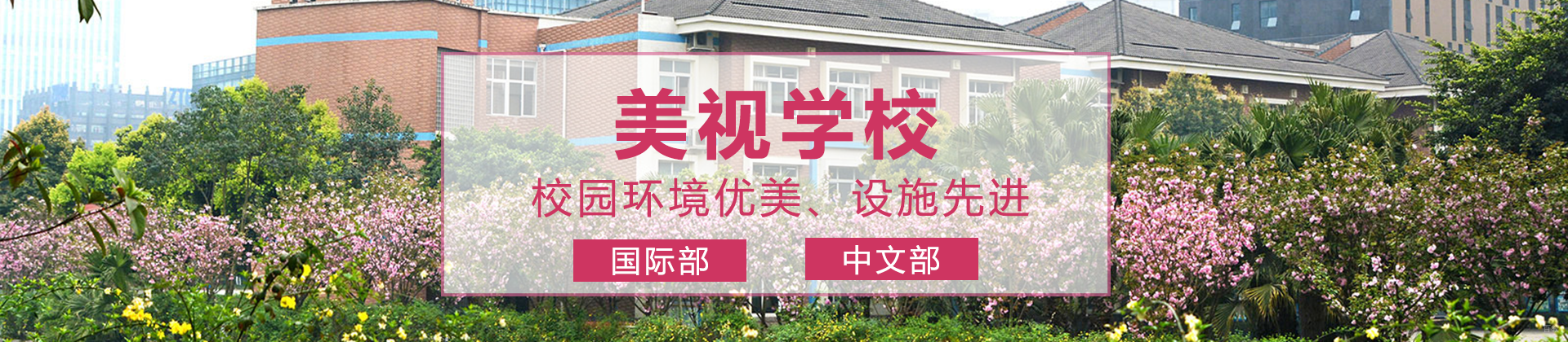 成都美视学校