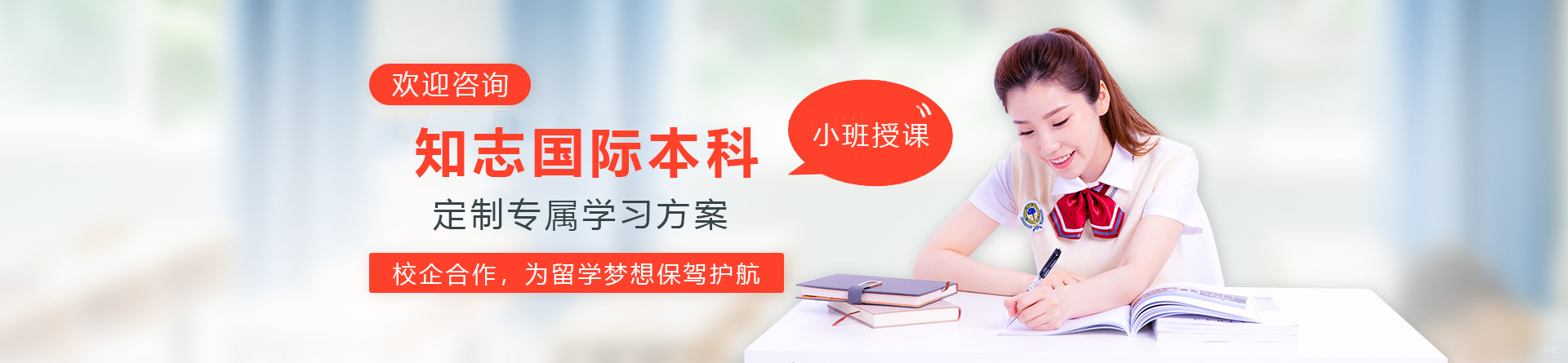 天津知志国际本科