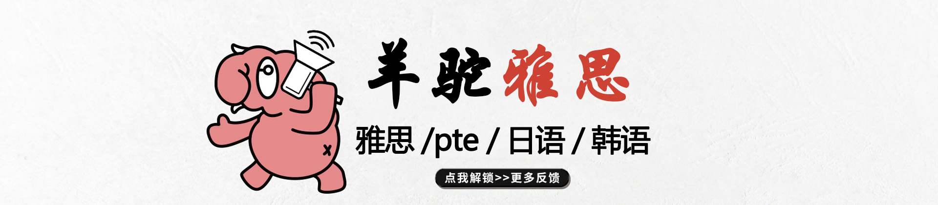 青島羊駝教育