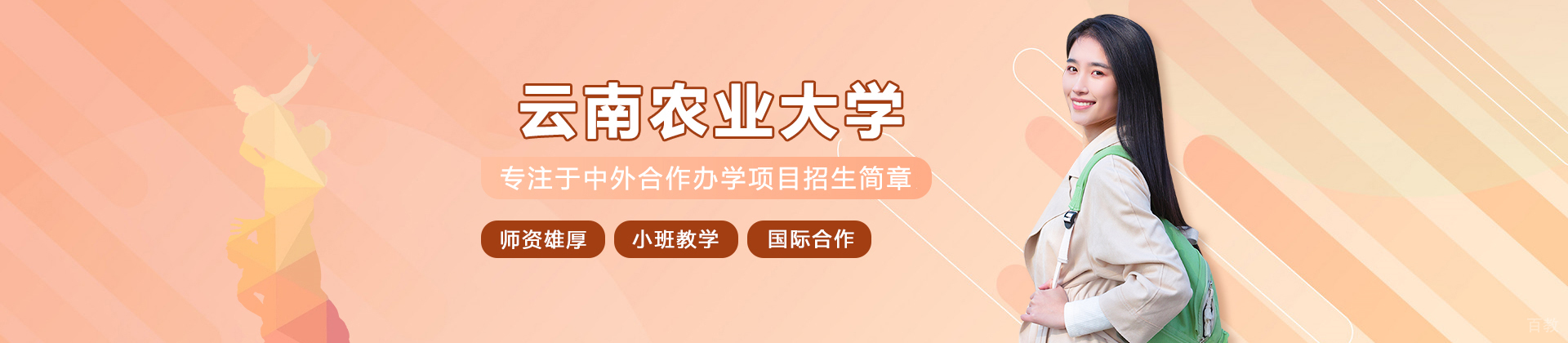 云南农业大学国际教育学院