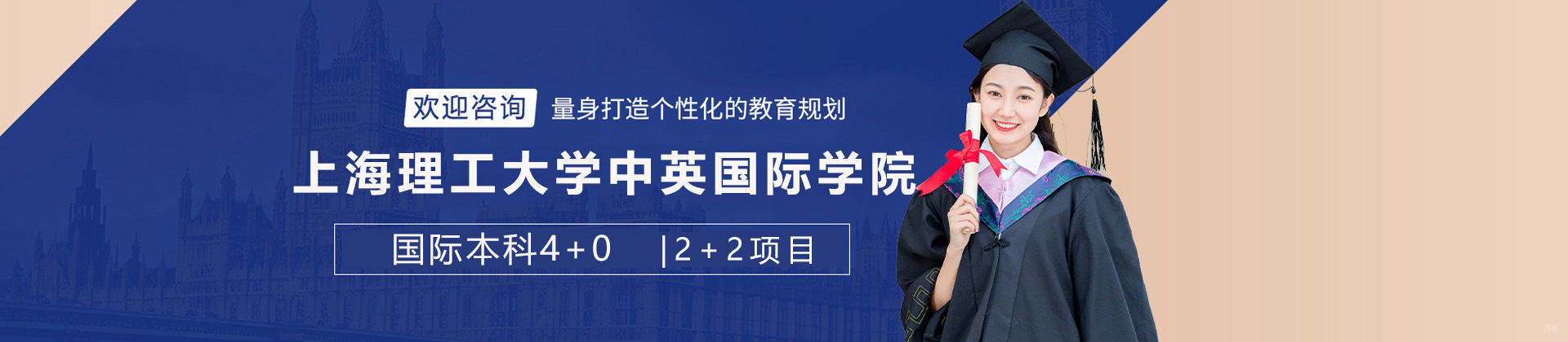 上海理工大学中英国际学院国际项目
