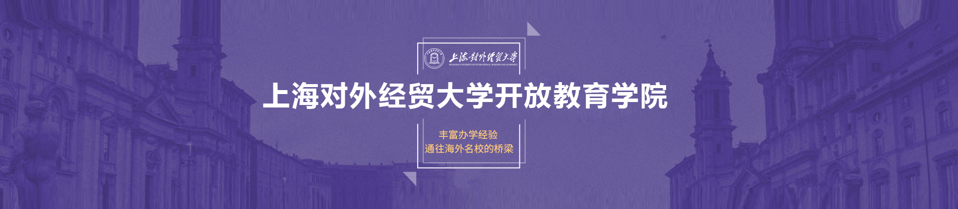 上海对外经贸大学国际本科