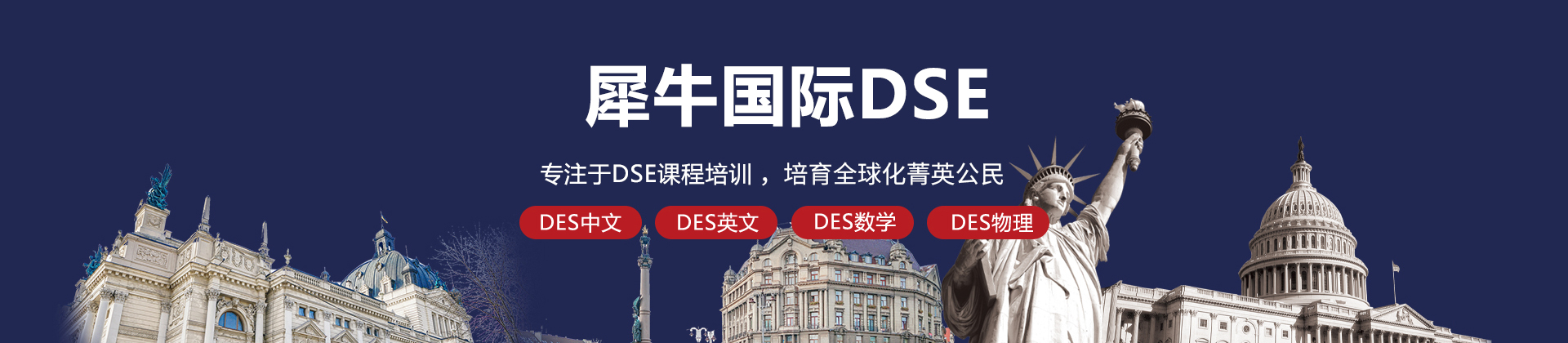 北京犀牛国际DSE课程