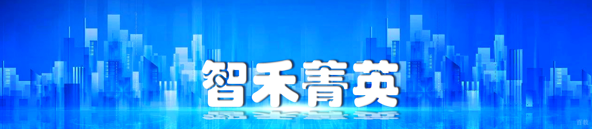 杭州智禾菁英