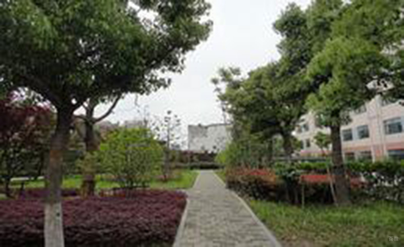 广州东南国际烹饪学校_花园