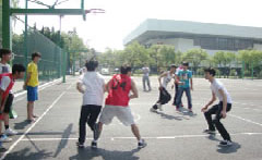 杭州北大青鸟篮球赛