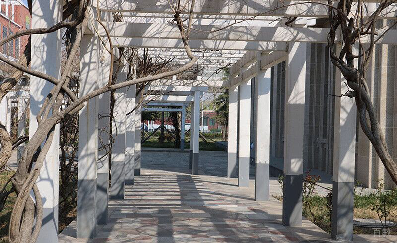南京学府考研_学校走廊环境