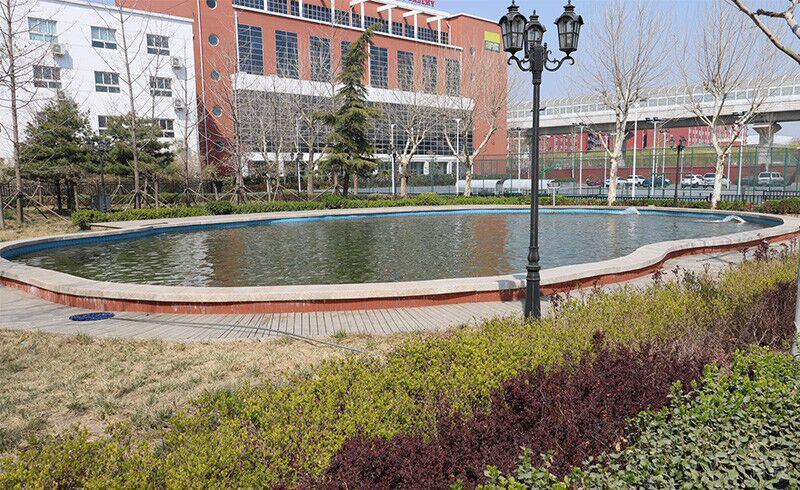 南京学府考研_学校公园