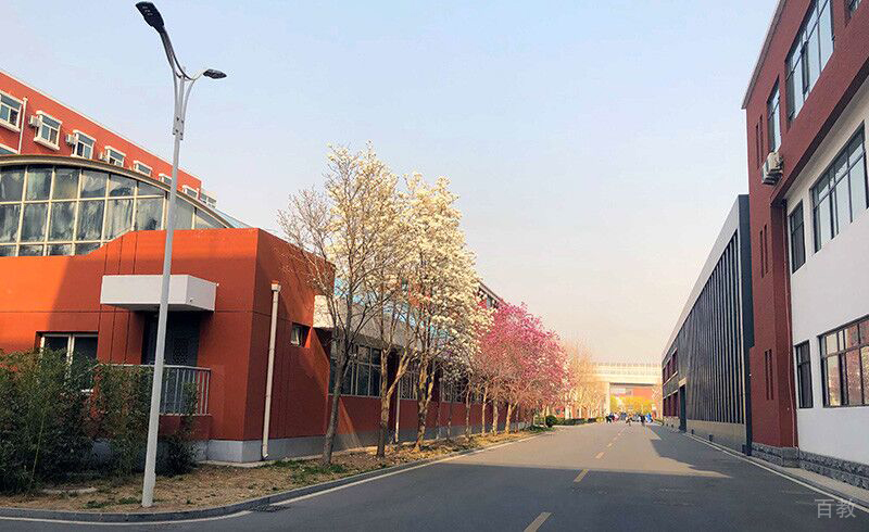 南京学府考研_学校道路
