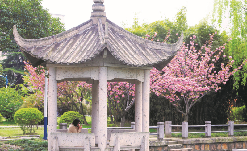 上海交大留学桥国际艺术_学校环境