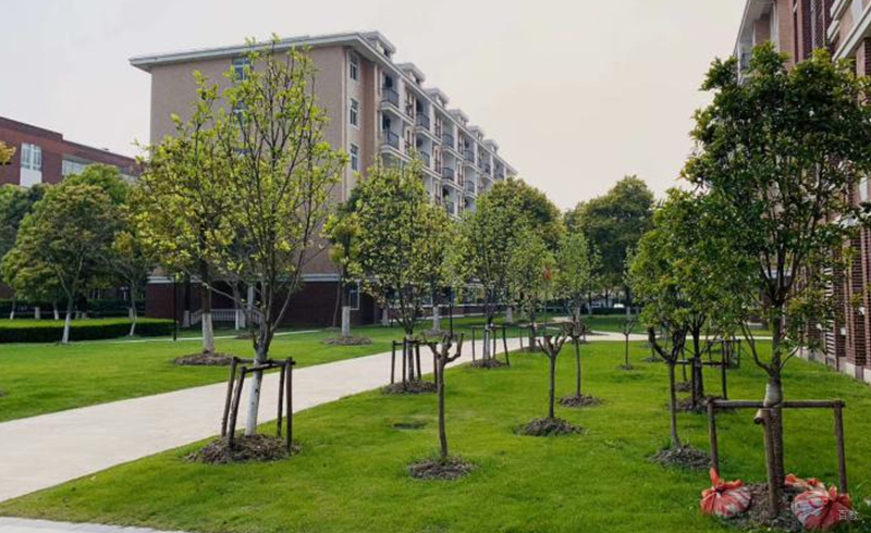 学校环境