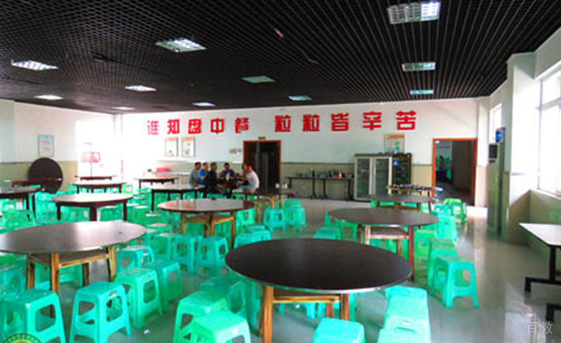 自强夏令营餐饮环境