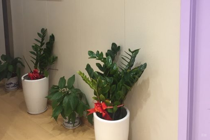 校区环境