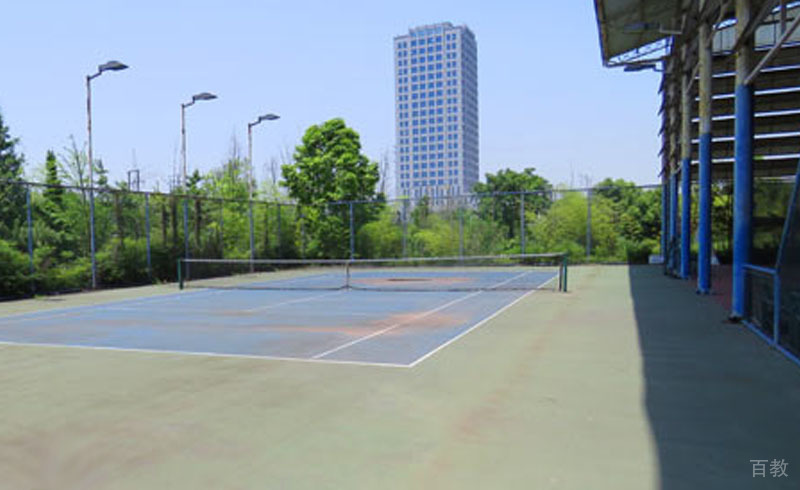 自强夏令营实景