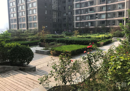 北京边牧汪_校区环境