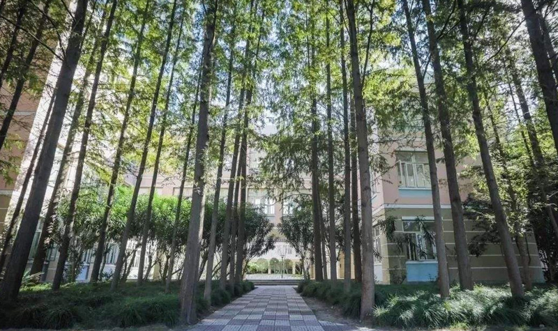 上海民办位育国际学校校区环境
