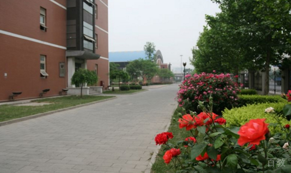 学校环境