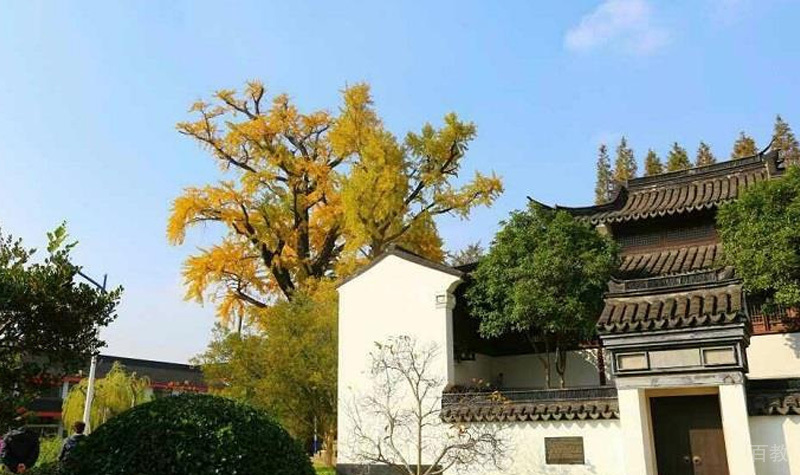 上海交大Alevel国际课程中心_环境优美