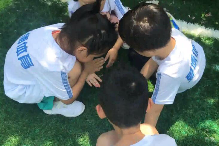 训练后的小娱乐