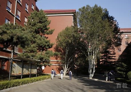 北京十一学校国际部_校园环境