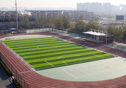 北京阳光情国际学校校园环境