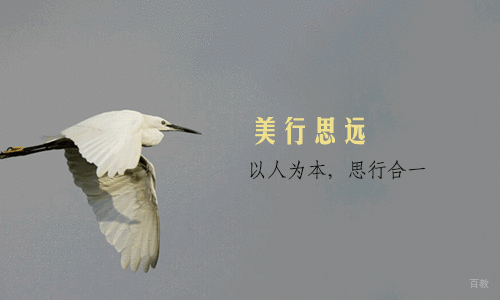 天津美行思远