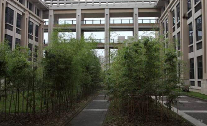 学校环境