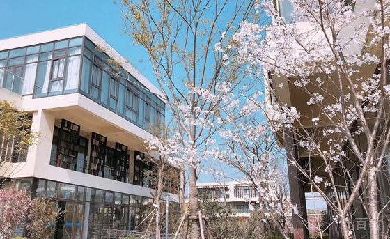学校环境