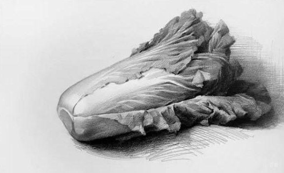 上海美术集网校_学员作品