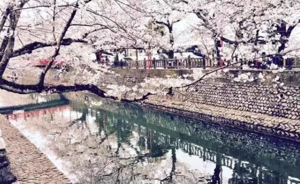 日本留学环境
